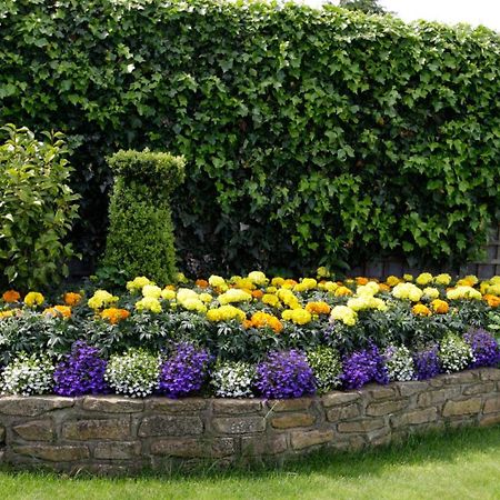 Rosemount B&B Дандолк Экстерьер фото