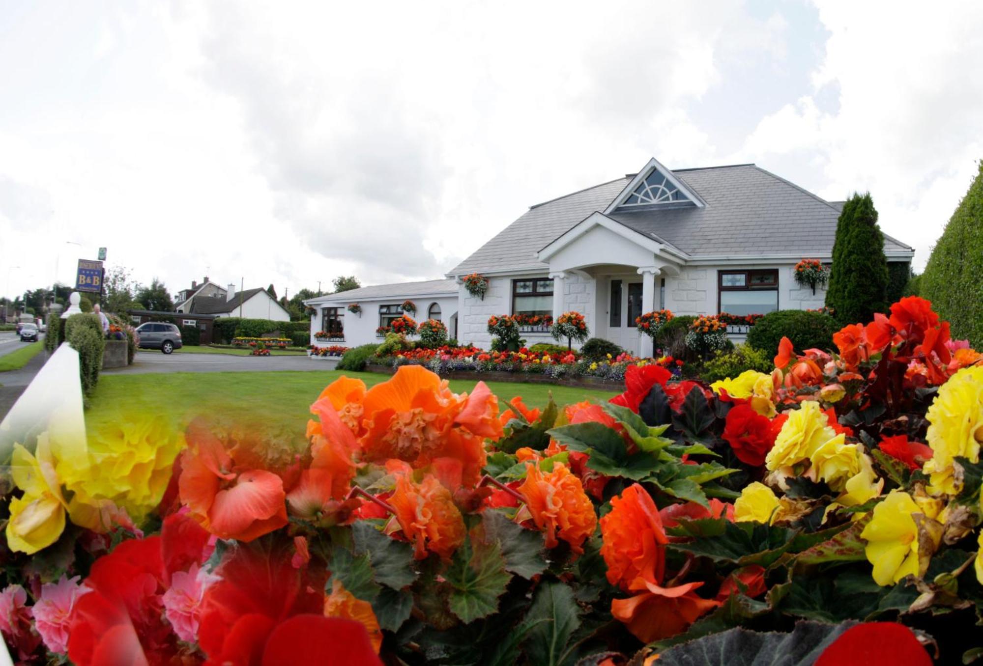 Rosemount B&B Дандолк Экстерьер фото