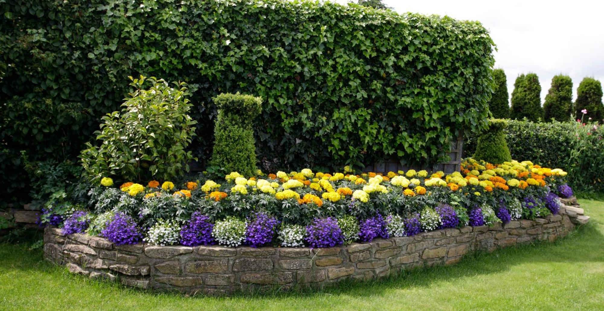 Rosemount B&B Дандолк Экстерьер фото